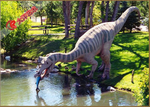 �������-ǻ���� 