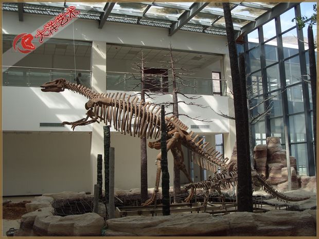 2011�� 6 �ӱ��е�װ�����