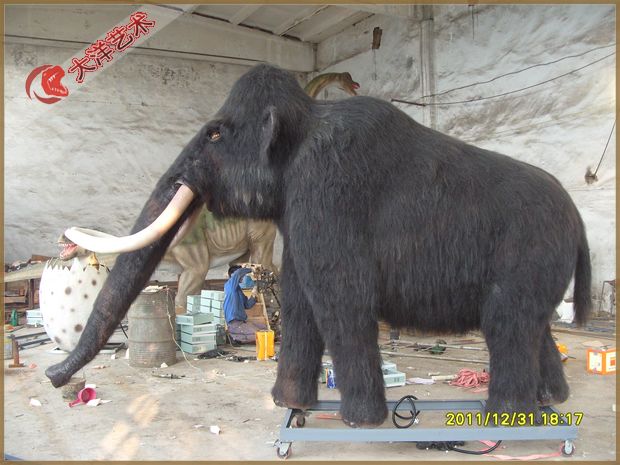 2011��11����չ��