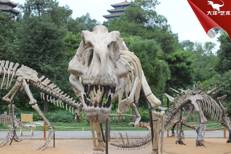 ����������Ǽ�-��������Ǽ�