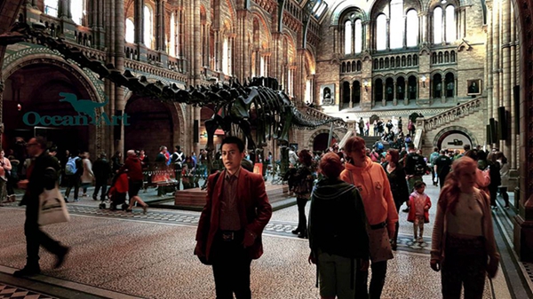 ΰ�ײ�����