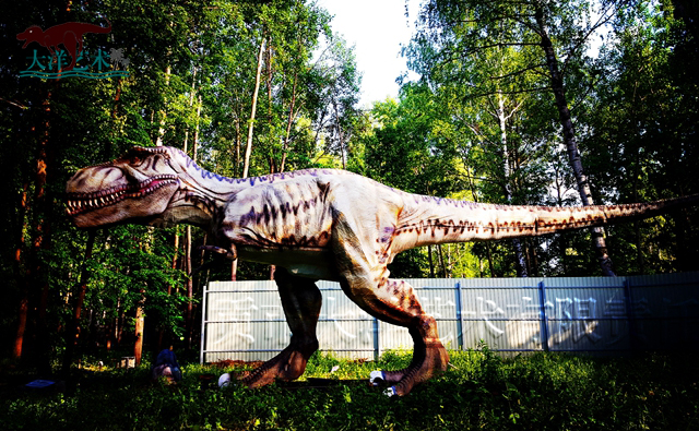 ΰ�ײ�����