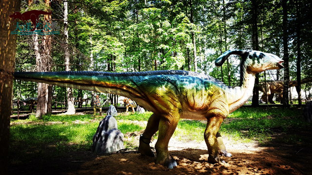 ΰ�ײ�����