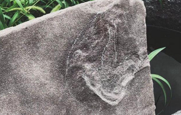 �е±���ɽׯ����Χ��������250��ö�����㼣