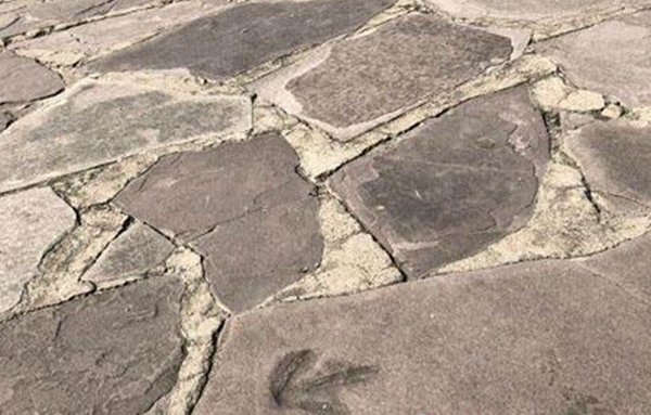 ΰ�ײ�����