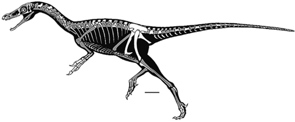 ΰ�ײ�����