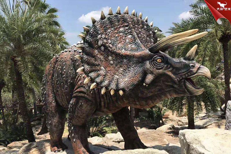 �������-�����������չʾ 