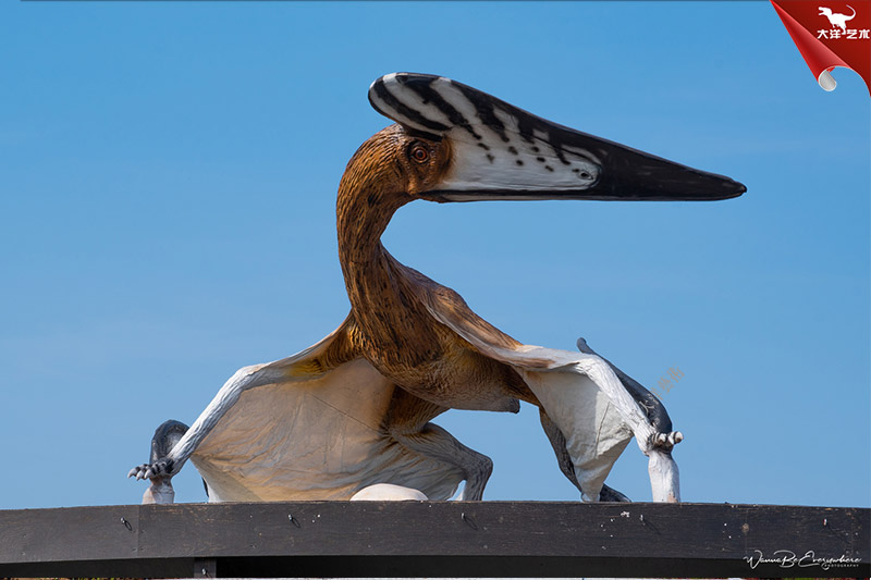 ����籾��������԰