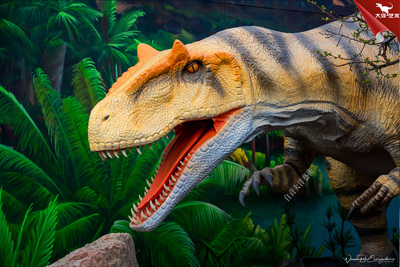 ����籾��������԰