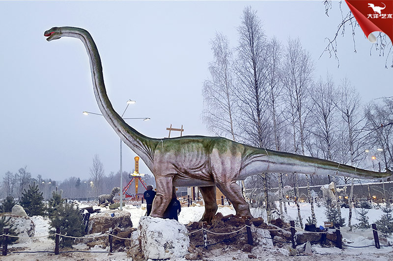 ����˹�����������԰