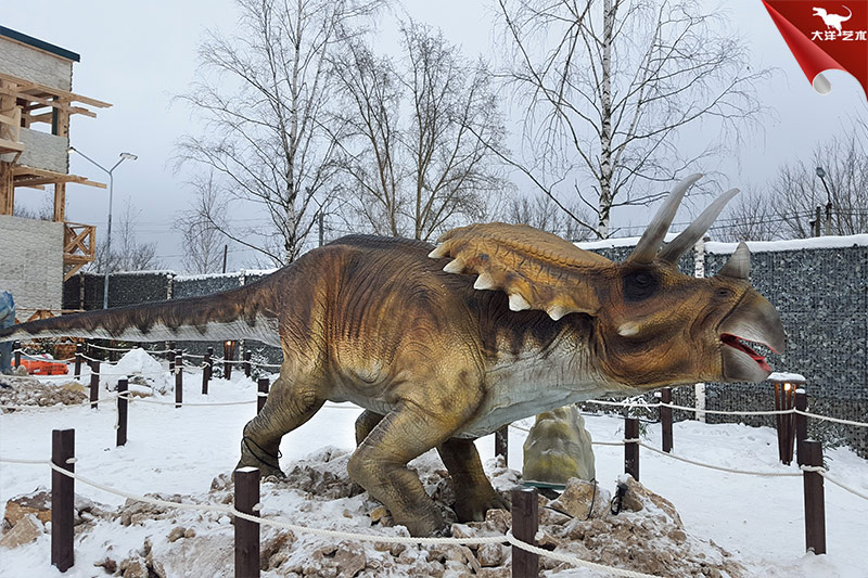 ����˹�����������԰