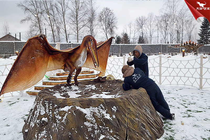 ����˹�����������԰