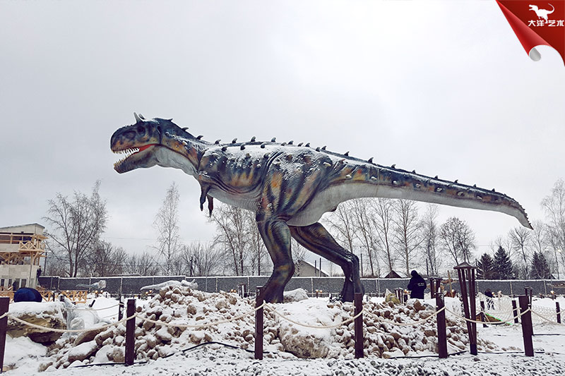 ����˹�����������԰