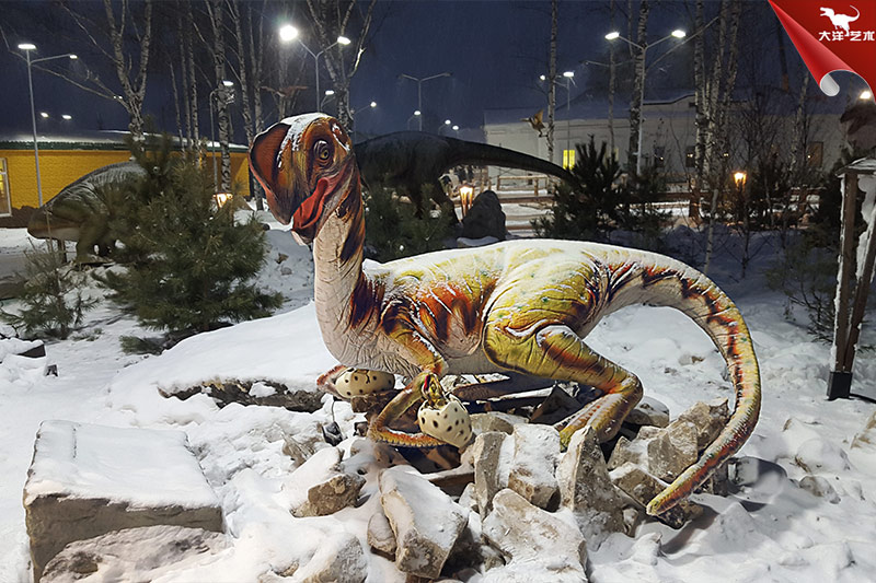 ����˹�����������԰