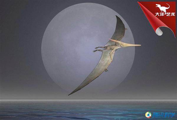 ΰ�ײ�����