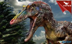 ��ѧ����������ʮ���¿���