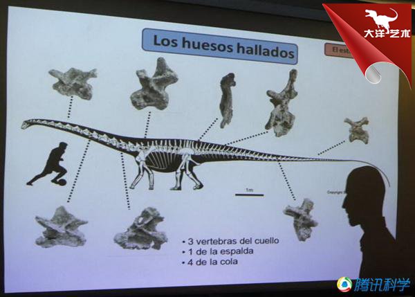 ΰ�ײ�����