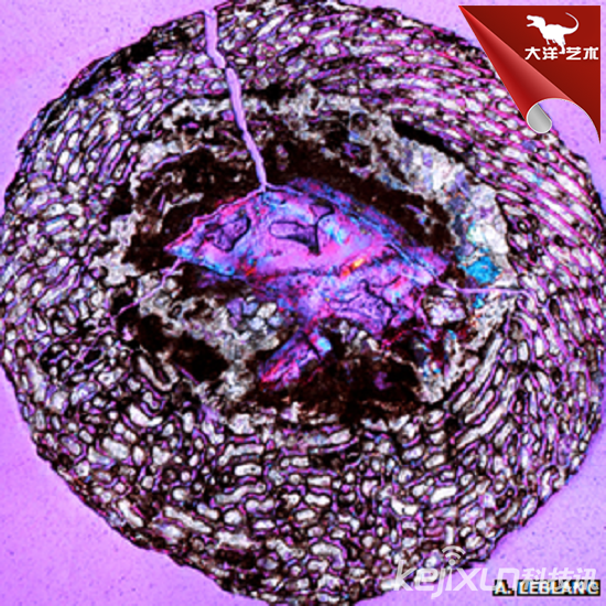 ΰ�ײ�����