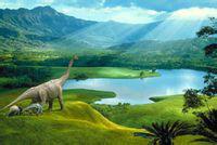 ΰ�ײ�����