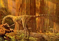 �����ɵ�ʼ�������п�İ�����-���������ڿ�������