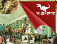 ΰ�ײ�����