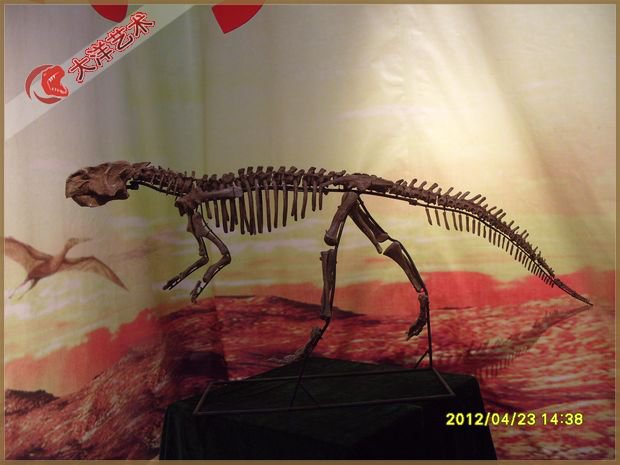 ΰ�ײ�����