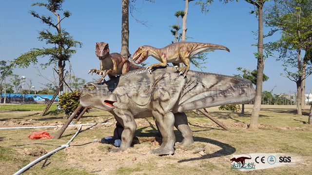 �������չ��