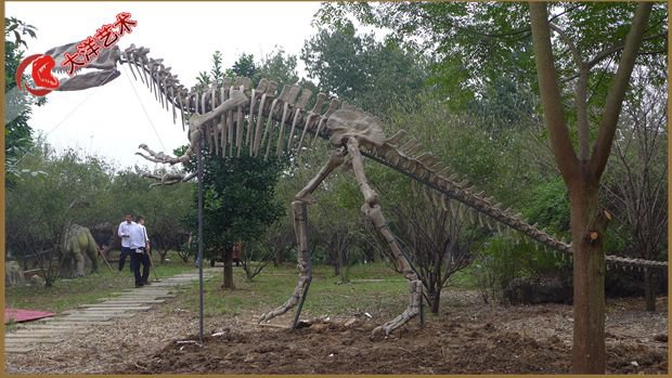 ΰ�ײ�����