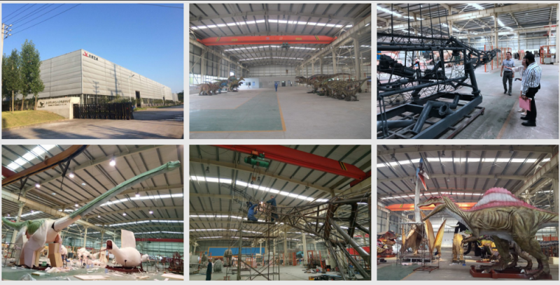 ��˾������������