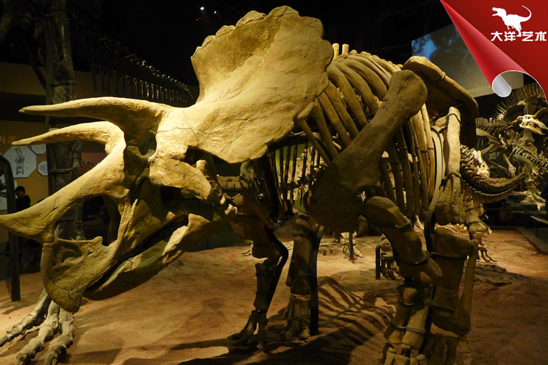 ������������ʯ