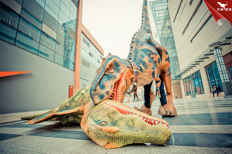 ����Ƥ���������������������ݳ���