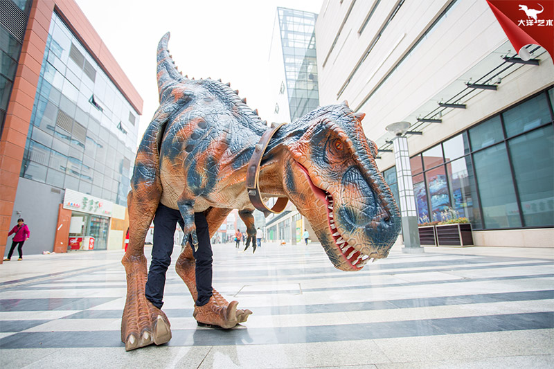 �����������������������磬�������������ݳ���