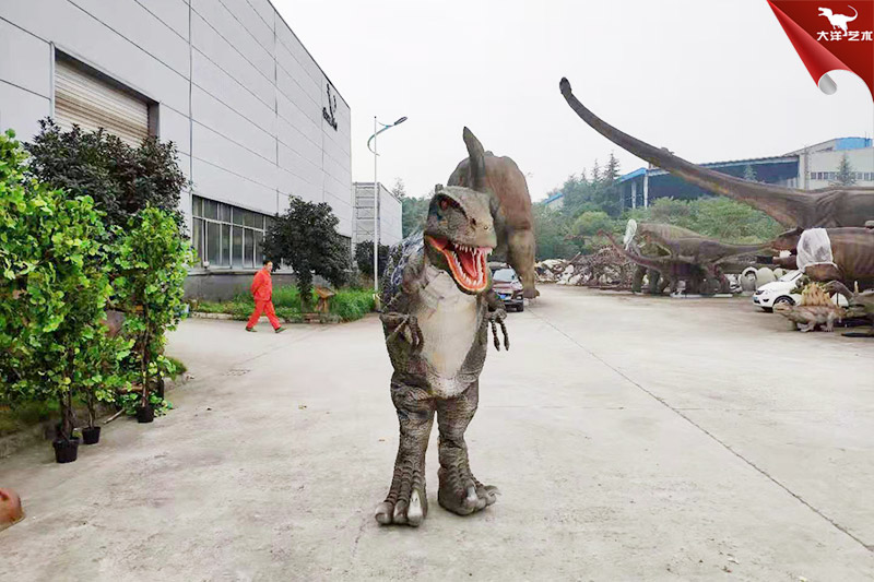 ����Ƥ�����������������·�,�����ݳ�����