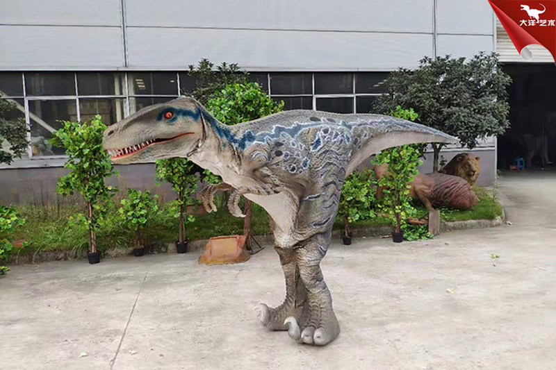 ����Ƥ�����������������·�,�����ݳ�����