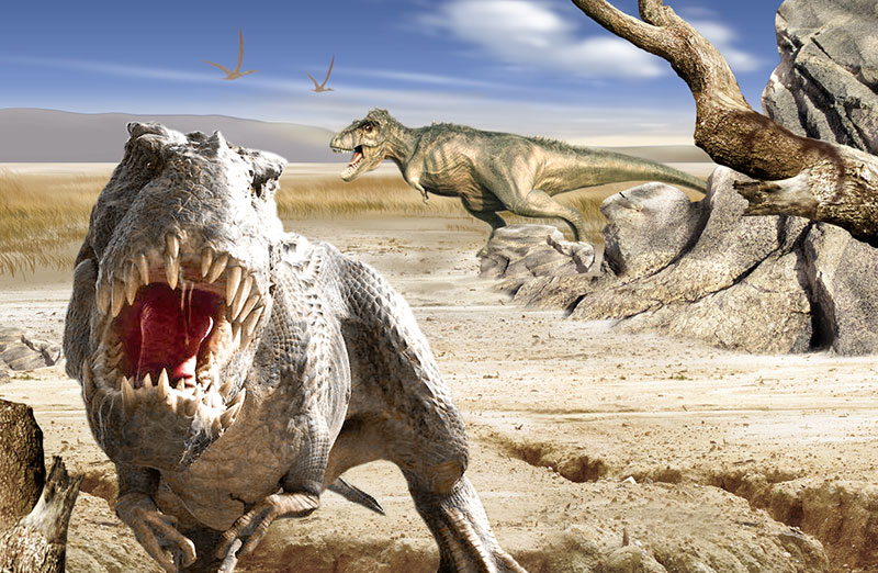 ΰ�ײ�����