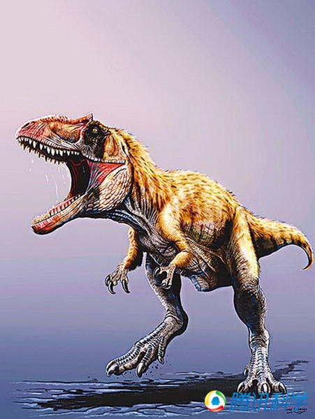 ΰ�ײ�����