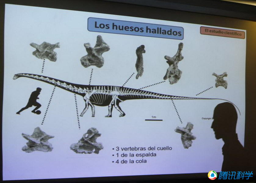 ΰ�ײ�����