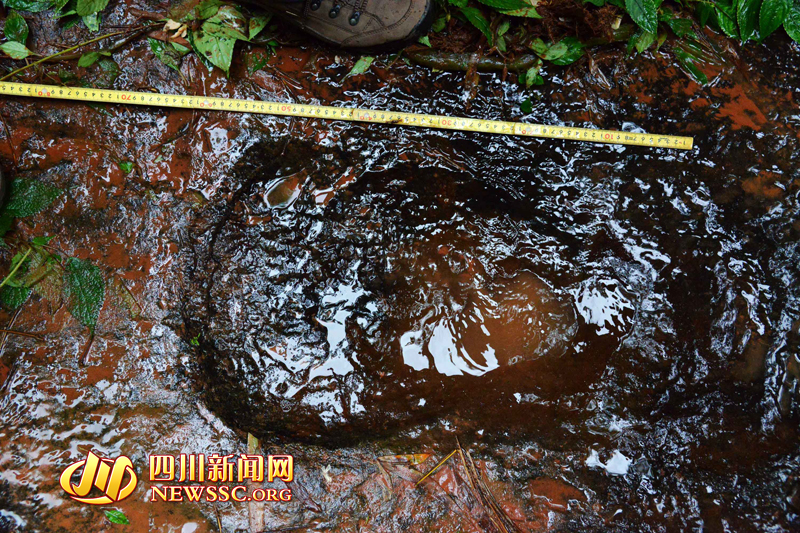 ΰ�ײ�����