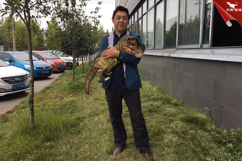 ������ż������������������������Ŀ���