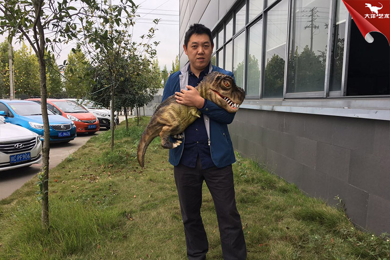 ������ż������������������������Ŀ���