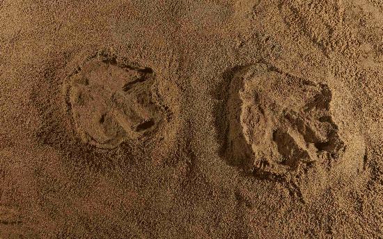 ΰ�ײ�����