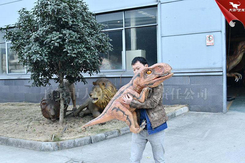 ��ż���������������������������ż