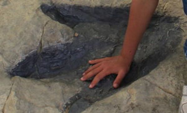 ΰ�ײ�����