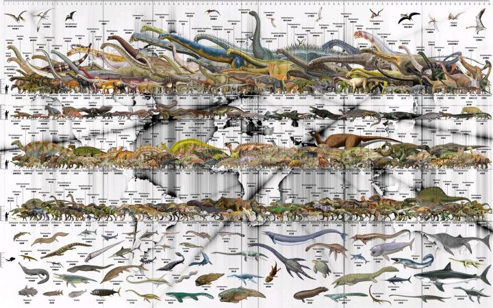 �����ܸ���6500����ǰ�Ŀ����𣿣�������������