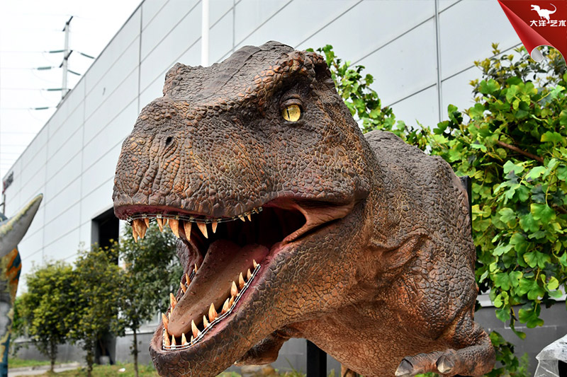 �����������ͷ�������������������������ģ������������������������ϸ�ڸ�����