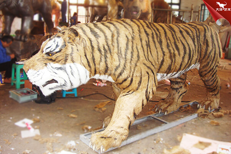 �����ϻ�����������������������԰�����ϻ�ģ��