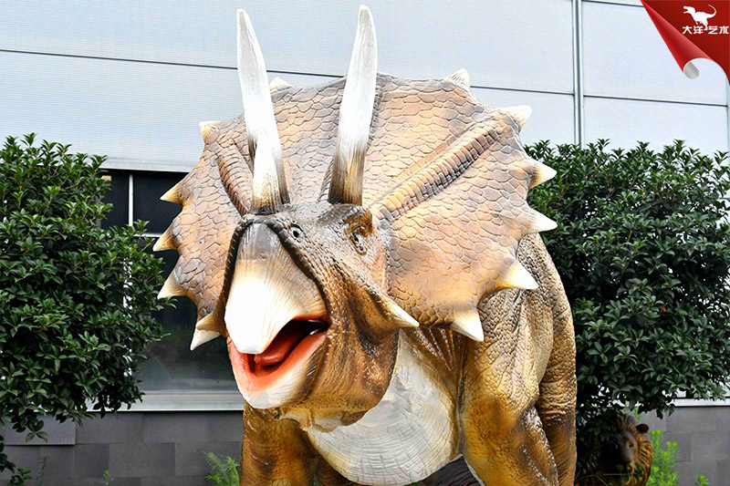 ���������������������ͷ������