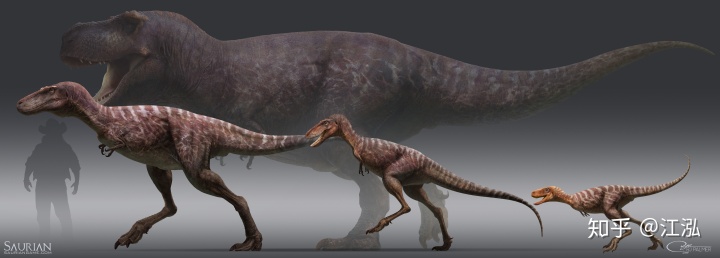 ������һ����Ϊ21���׶Σ������������������׶���ΪҪ����