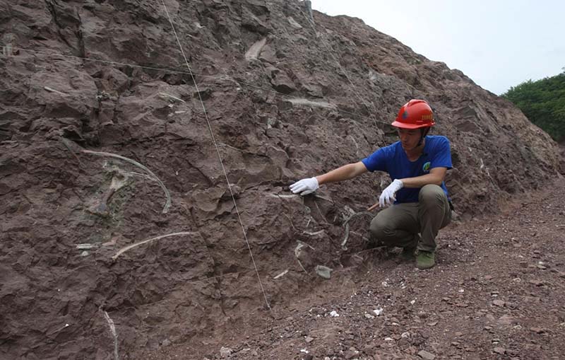 ����������������