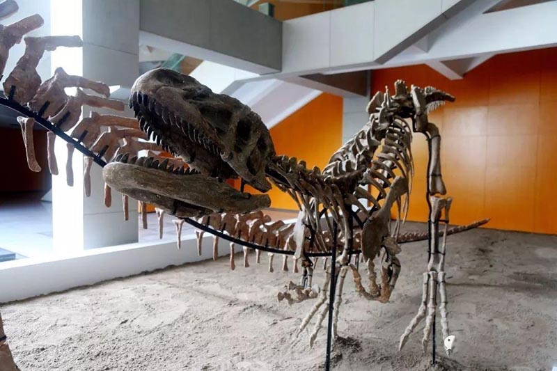 ΰ�ײ�����